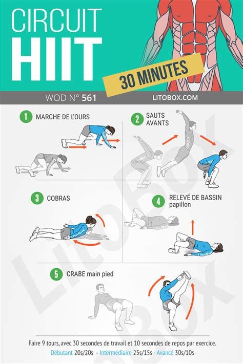 Circuit Hiit Exercice Hiit Hiit Programme Musculation Maison