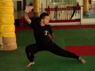 Posturas Básicas Escola de Kung Fu Garra de Águia