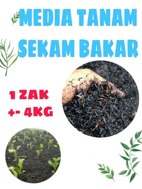 Jual Zak Sekam Bakar Kg Media Tanam Sekam Organik Bakar Arang Sekam