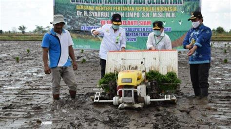 Kalteng Siap Jadi Super Prioritas Ketahanan Pangan Nasional Mentan Cek