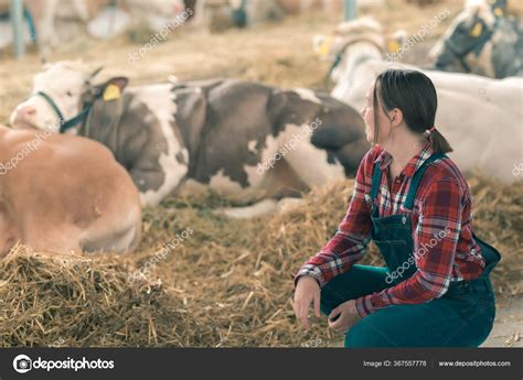 Female Farmer Cow Dairy Farm Portrait Woman Farm Worker Wearing Stock ...