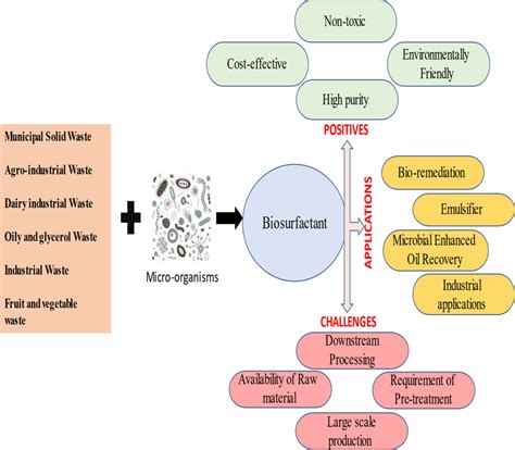 Biosurfactant Feedstocks Benefits Drawbacks And Applications