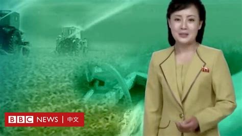 朝鲜旱灾：现实中失踪的甘霖 电视中“茂密的庄稼” Bbc News 中文