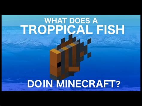 Where To Find Tropical Fish In Minecraft