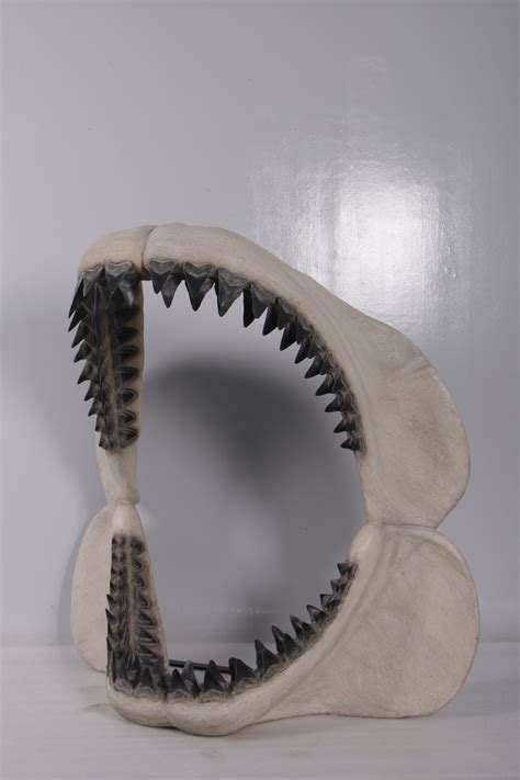 Megalodon Jaw 50" ( 200049 ) | Dinosaur Resin Replica | Aquatic