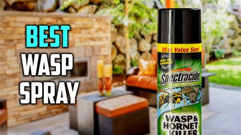 Best Wasp Spray In 2023 Top 5 Review Wasp And Hornet Killer Aerosol