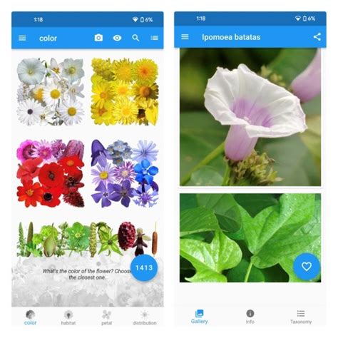 10 Best Plant Identifier Apps for Android and iPhone (Free & Paid) | Beebom