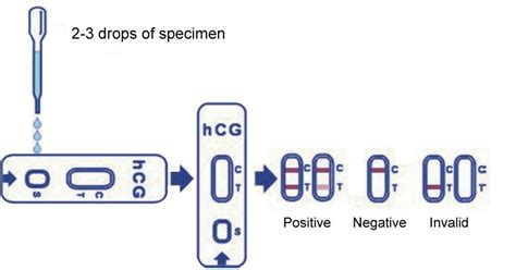 Rapid Check™ Respiratory Syncytial Virus Rsv Antigen Test Clia Waived