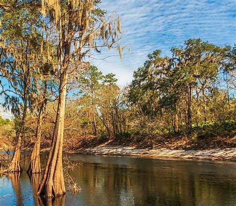 Suwannee River - WorldAtlas