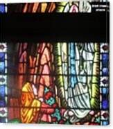 Our Lady Of Lourdes In Stained Glass Photograph By Seaux N Seau Soileau