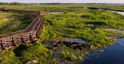 Podlaska Amazonia 1 dniowy spływ kajakowy po Narwi ognisko