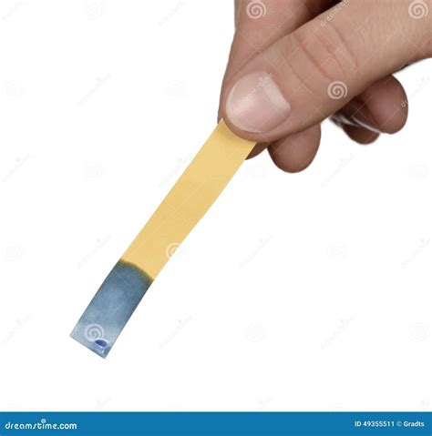 what color does litmus paper turn in a base 3