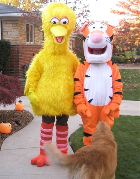 Big Bird Costumes | HubPages