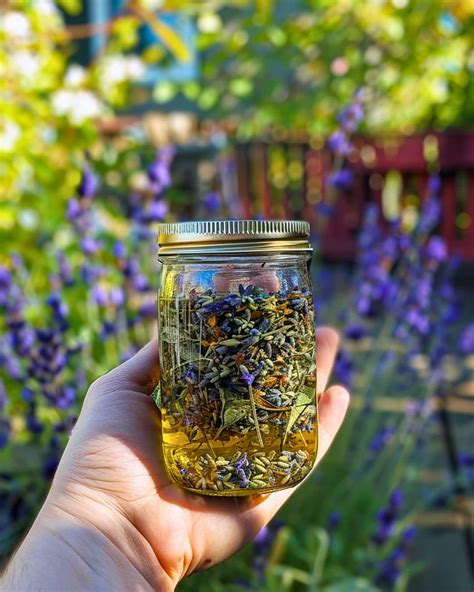 How To Make Lavender Oil 3 Easy Homemade Methods