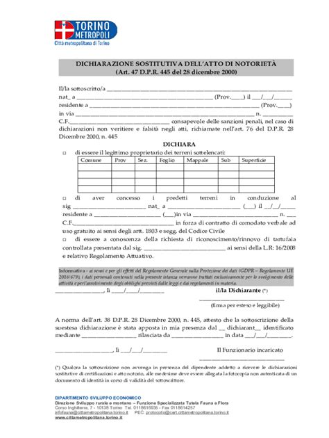 Compilabile Online A Oppure La Dichiarazione Sostitutiva Di