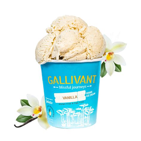 Madagascar Vanilla Gallivant Ice Creams