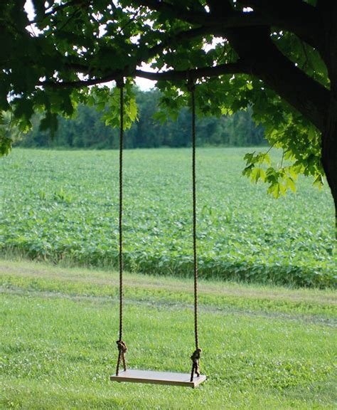 20 Easy Diy Tree Swing Ideas For Kids Diyncrafty