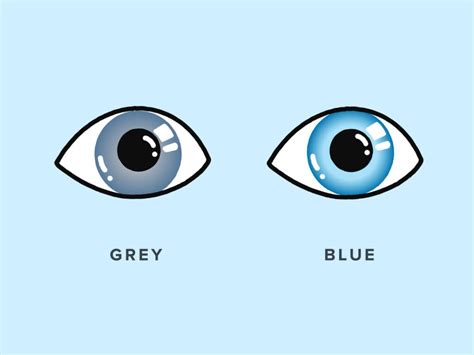 How Rare Are Grey Eyes? | Warby Parker