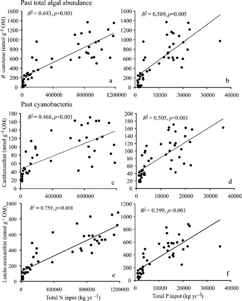 Regressions Between Total Algal Abundance As B Carotene And A Tn