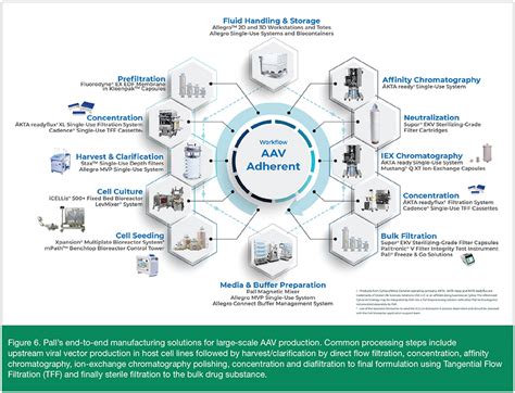 Move Your Gene Therapy from Strategy to Reality • Biopharma Asia