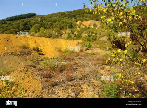 Déchet Toxique Banque De Photographies Et D’images à Haute Résolution Alamy