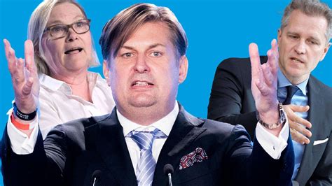 AfD Kandidaten für Europa Vom geschönten Lebenslauf zu schweren Vorwürfen