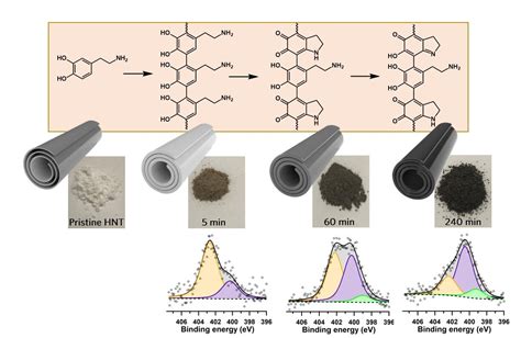 The Secrets Of Polydopamine Coatings Revealed