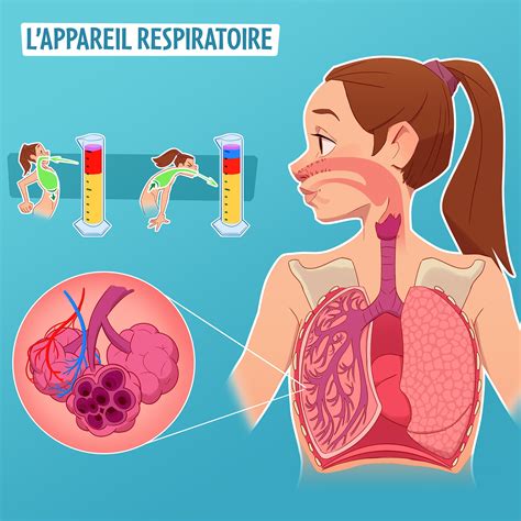 respiration unlabored 5