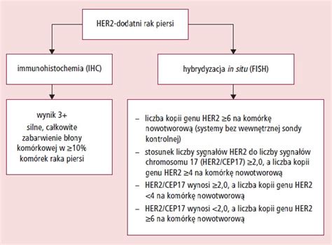 Leczenie Chorych Na Zaawansowanego Raka Piersi Wykazuj Cego Nadmiern