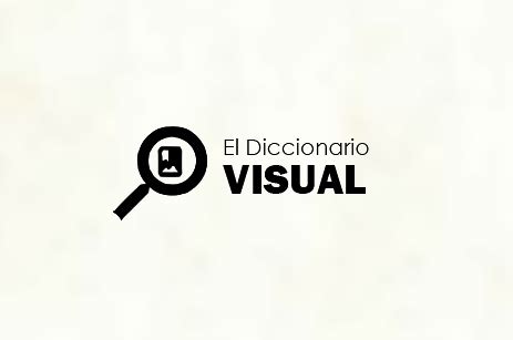 Evolucion Del Craneo Diccionario Visual Didactalia Material Educativo