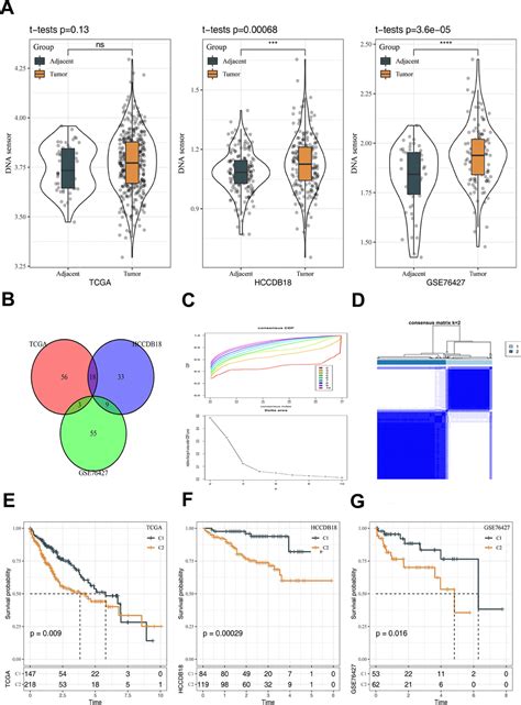 Molecular Subtypes Based On Dna Sensors Predict Prognosis And Tumor