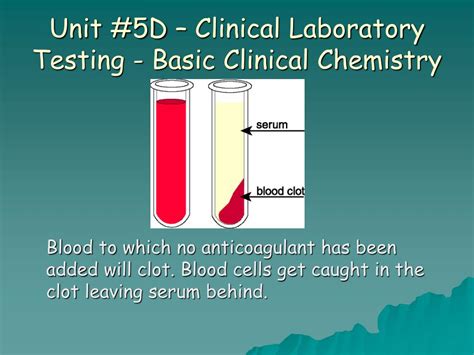 Ppt Unit 5d Clinical Laboratory Testing Basic Clinical Chemistry