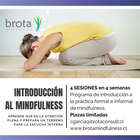 Introducción al Mindfulness Brota Mindfulness