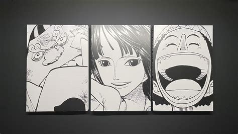 Just received One Piece All Faces Vol. 1-3 and I love the covers : r