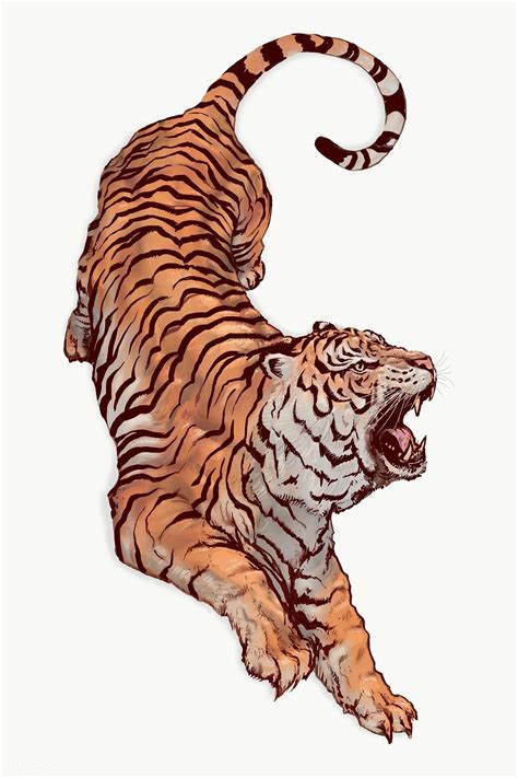 Hand Drawn Roaring Tiger Overlay Premium Image By