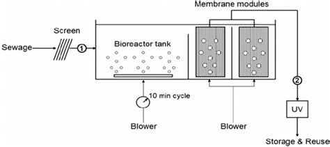 Schematic Diagram Of The Full Scale Membrane Bioreactor Summarising Download Scientific