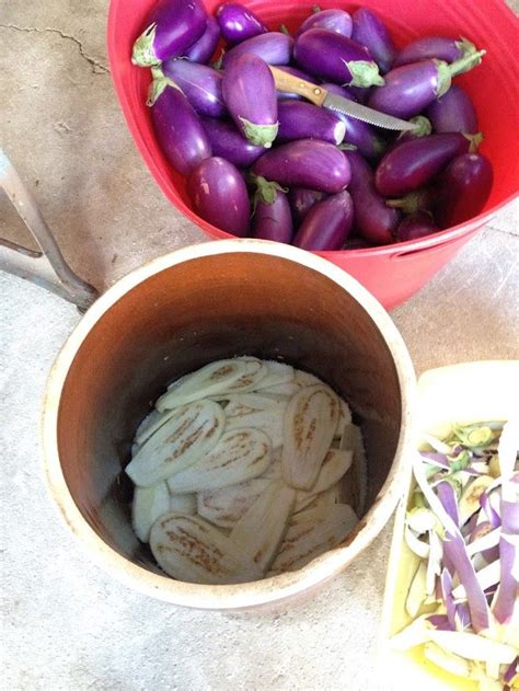 Pickled Eggplant Melanzane Sottolio Recipe Pickled Eggplant