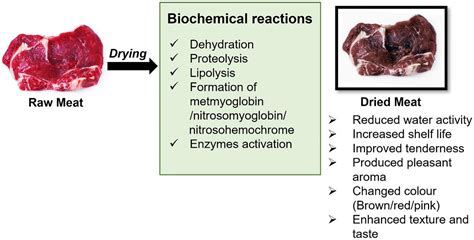 Frontiers | A comprehensive review of drying meat products and the ...