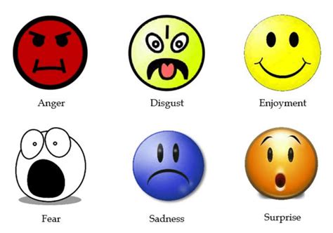 The 6 Basic Emotions Of Ekman Download Scientific Diagram