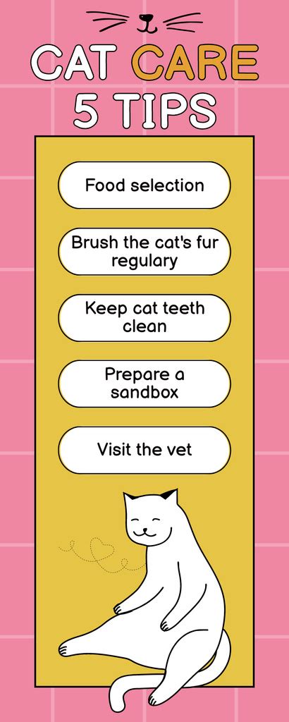 Best Tips of Cats Care Online Infographic Template - VistaCreate