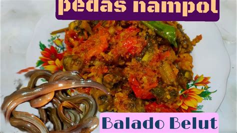 Unik Dimasak Seperti Ini Ternyata Enak Banget Belut Balado Youtube