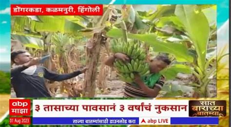 Saat Barachya Batmya 712 Hingoli Farming Lose Agriculture News