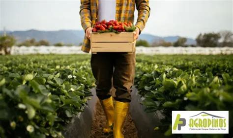 ¿cómo Convertirse En Un Buen Agricultor Agropinos