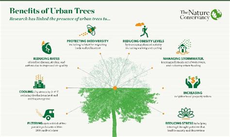 Some Favourite Things Benefits Of Urban Trees