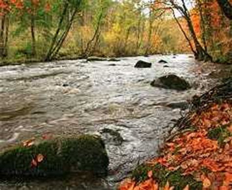 2022 Missouri Fall Foliage Tours, Ozarks, Branson, Maps & Guides, Webcams