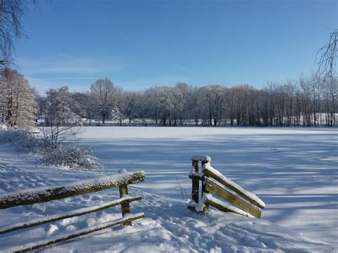 Zima Krajina Rybník Fotografie zdarma na Pixabay Pixabay