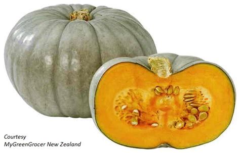 Pumpkin Crown Prince Organic Heirloom Seeds 2017