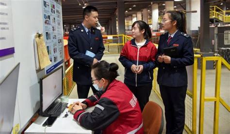 税惠春风添活力！河北税务助力物流强省建设财经头条