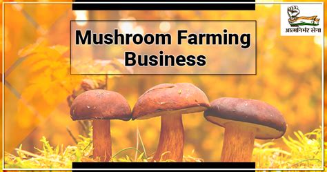 mushroom farming business  greatly profitable business