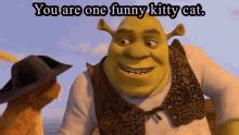 You Re Funny Meme Gifs Tenor